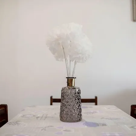 Appartement Jasmina *