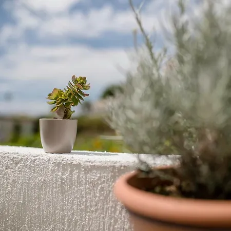 Jasmina Апартаменты *