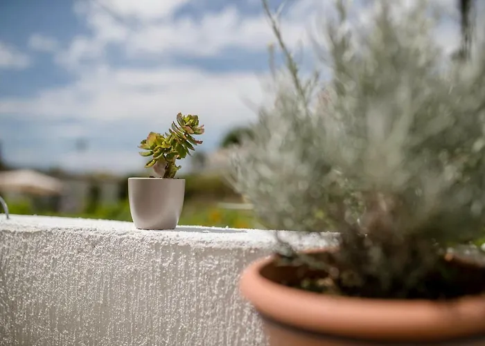 Jasmina Appartement *